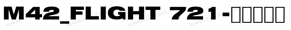 M42_FLIGHT 721字体转换